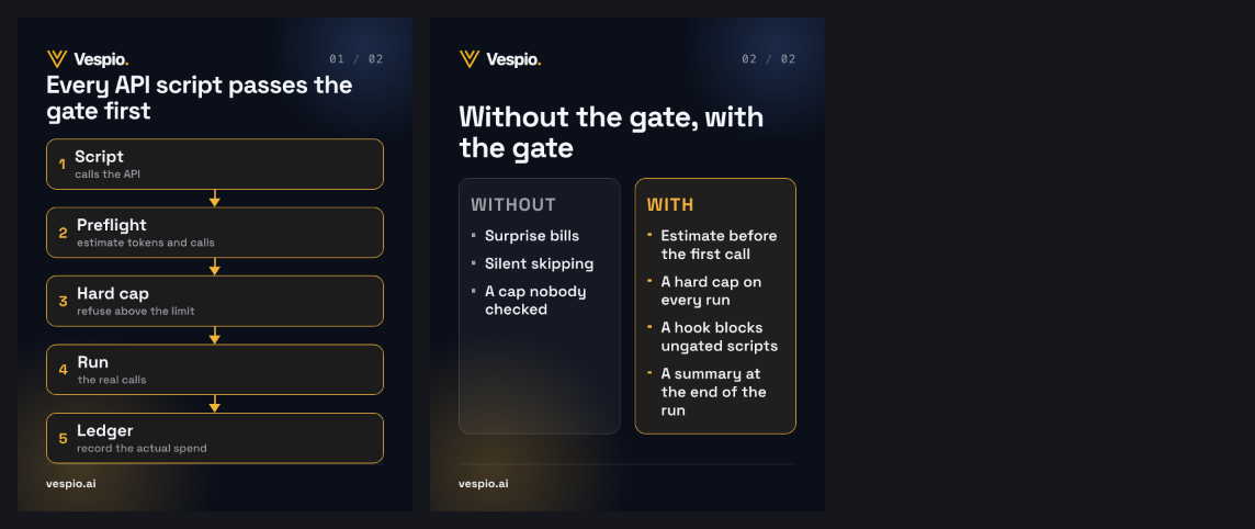 cost-gate-flow vespio-gold-dark contact sheet